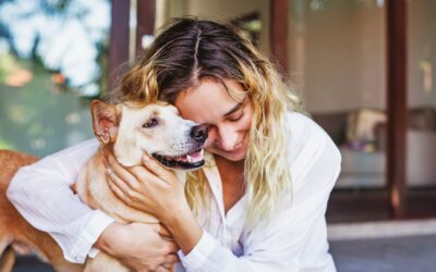 Constelaciones familiares con orientación en animales